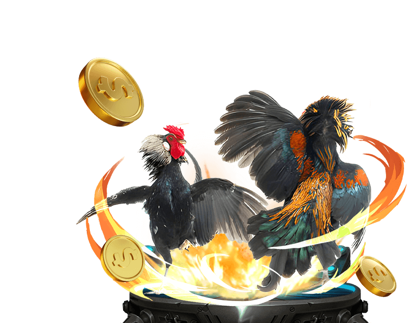 Cá cược thể thao với nhiều môn thể thao khác nhau