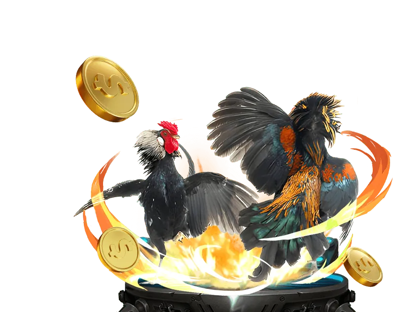 Cá cược thể thao với nhiều môn thể thao khác nhau